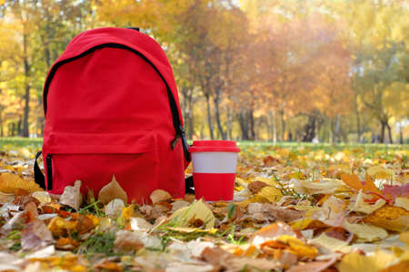 The red backpack and thermo mug close-up in autumn park with sunlightの写真素材