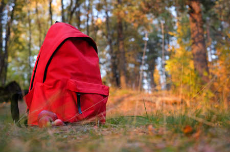 Red backpack and thermo mug in the autumn forestの写真素材