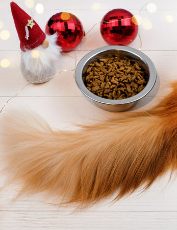 Cats tail near bowl with food for cats on wooden background, christmas decor, vertical photoの写真素材