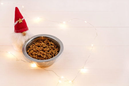 Food for cats and dogs in bowl on white wooden background, christmas decoration, ligts and copy spaceの写真素材
