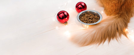Cat's tail near bowl with food for cats and christmas balls on wooden background, bannerの写真素材