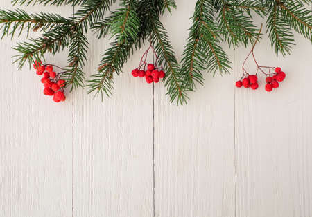 Christmas fir tree with natural berries as decoration on white wooden background with copy spaceの写真素材