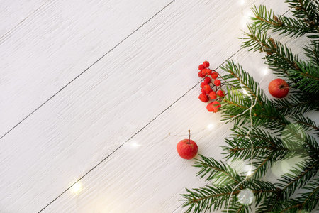 Christmas fir tree with natural berries and apples decoration on white wooden background with copy...