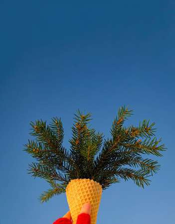 Waffle cone with branches in the hand on blue sky backgroundの写真素材