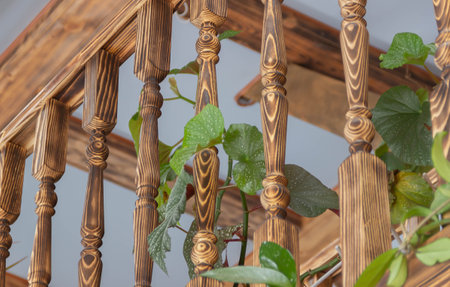 wooden balusters for stairs and balconies in the interior of the greenhouseの写真素材