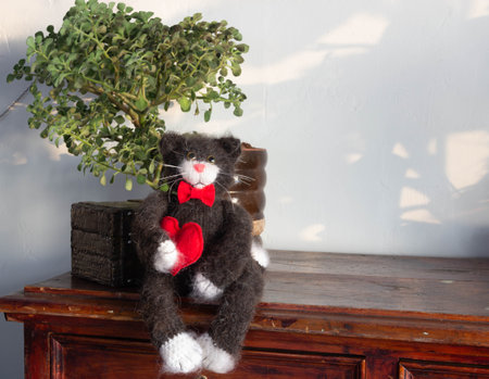 a hand-knitted wool cat with a red heart in its paws sits on a chest of drawers against the background of a flower and a boxの写真素材
