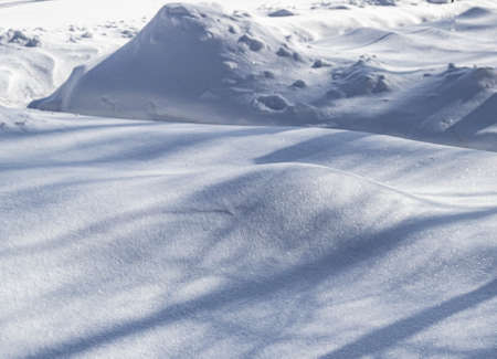 snow, snow drifts in the winter forest, frosty day, walk in the parkの写真素材