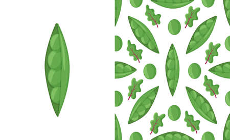 Seamless vector pattern with fresh sweet organic green pea with leaves and herb. Backdrop with tasty vegetableのイラスト素材