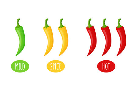 Spicy chili pepper level in flat design. Mild spicy and hot taste. Vector illustration on white background.のイラスト素材
