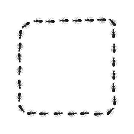 A shot of ants walking in a square. The path of the ants in the square. Ant tracks. Vector illustrationのイラスト素材