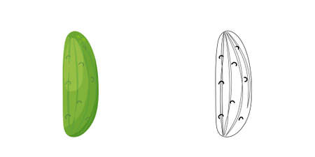 Cucumbers coloring book antistress for children and adults. Illustration isolated on white background.Zen-tangle style.のイラスト素材