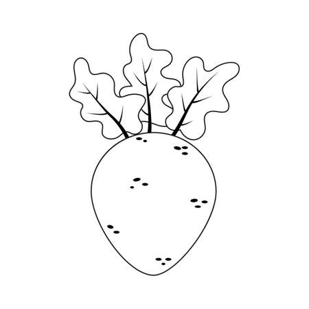 Coloring book page for preschool children with outlines of beet. Vector illustration for kids education.のイラスト素材