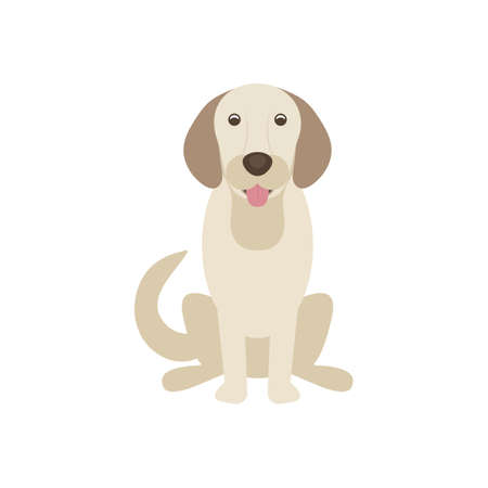Vector dog sitting, isolated on white, labrador retriever, dog golden color. vector illustrationのイラスト素材