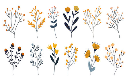 Set botanic blossom wildflowers. Wild flowers vector collection. herbs, herbaceous flowering plants, blooming flowers, subshrubs isolated on white background.のイラスト素材