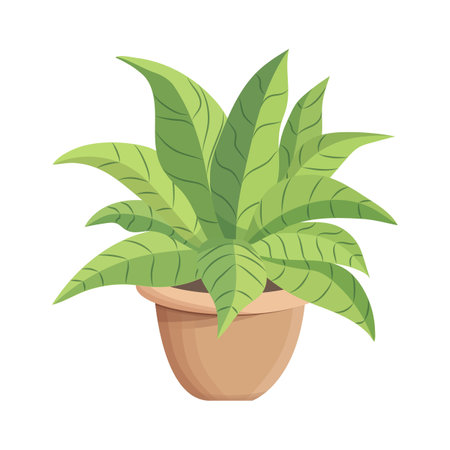 House plants in pots. Element for design house, room or office. Isolated element on white background.のイラスト素材