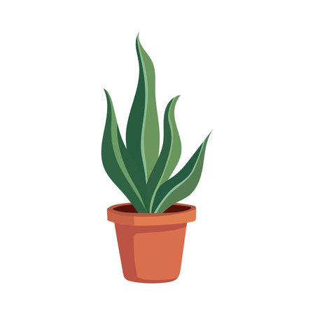 House plants in pots. Element for design house, room or office. Isolated element on white background.のイラスト素材
