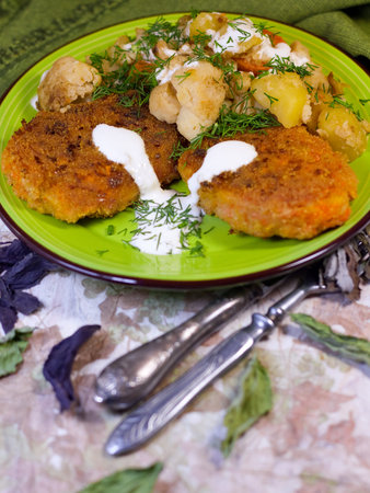 Vegan Dinner: carrot cutlets with vegetables, sour cream and green-stuff.の写真素材