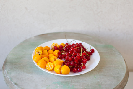 kumquat and currantsの写真素材