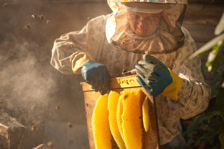 Bee smoker smoking in apiary copyspace seasonal honey bees beekeeping farming organic production...