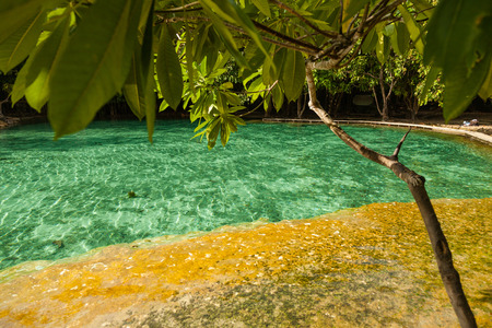 Thailand Krabi. National Park Emerald pool.の写真素材