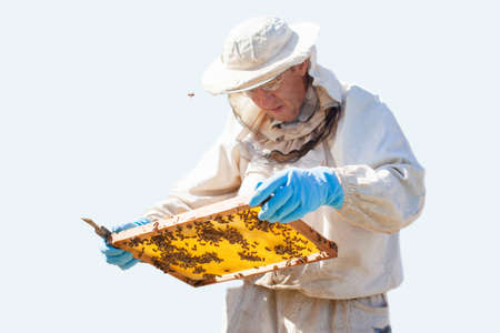 Beekeeper on apiary. Beekeeper is working with bees and beehives on the apiary.の写真素材