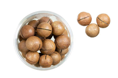Macadamia nuts isolated on white. Inshell whole macadamia nuts in a transparent jarの写真素材