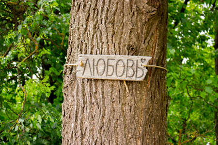 The Russian word love on a wooden plate on a tree trunk in a city park. Background nature greensの写真素材