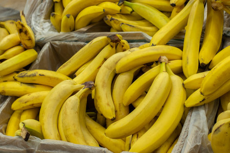 Yellow bananas in the boxes in the supermarket. Exotic fruit in the supermarket, a bunch of banana packed in plastic and cardboard box. Background Wallpaper Bannerの写真素材