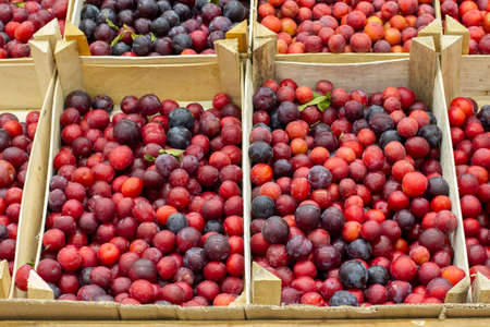 Prunus cerasifera is also called plum cherry, plum spread. Fruits i wooden boxes on the counter of the store market. Background Wallpaperの写真素材