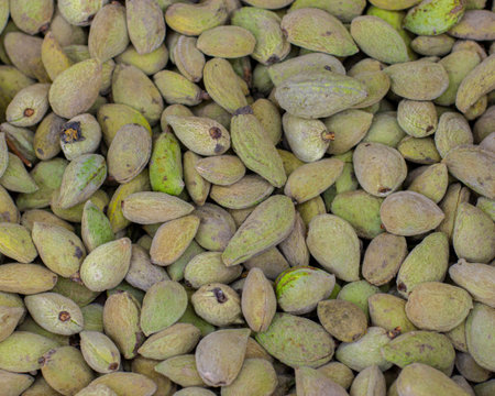green Almond Plum fruit of sweet almond on a market counter, background wallpaper. Many unpeeled...