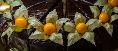 Physalis fruit with dry petals chocolate cake decoration, close-up dessert biscuit food designの写真素材