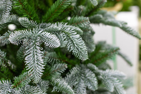 Beautiful Christmas tree with plastic green needles snow-dusted background backdrop. Artificial...
