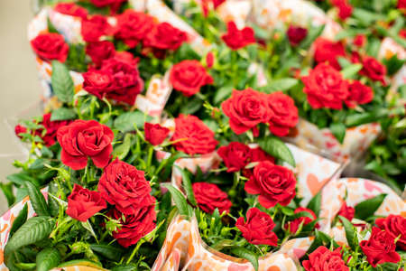 Red roses blossom in bouquets at the market. Small flowers of spray roses, fresh natural beautiful scarlet rose flower. Festive gift bouquet, bloom rose cultivation for saleの写真素材