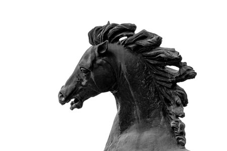 Horse head sculpture close-up. Bronze horse head black on white, part of the sculptural composition isolate reared horse head mane muzzle eyes nostrils ears.の写真素材
