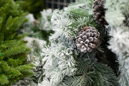 Christmas tree branches covered in snow with a big natural cone. Festive New Year and Christmas backdrop background. Artificial Fir Treeの写真素材