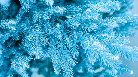 Christmas tree branch with snowflakes tinted in bright blue color, frosted needles of spruce. Festive Christmas backdrop background for design, New Year decoration.の写真素材