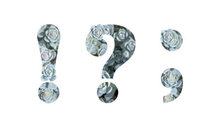 Punctuation marks, exclamation point, question mark, comma, alphabet isolated on white. Letter gray...