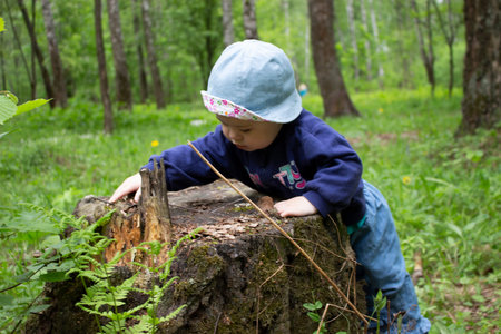 Baby girl exploring the stump in the forest. The kid in Panama touches the stump of a tree. The first steps in the forest, familiarity with nature. Baby playing in the forestの写真素材
