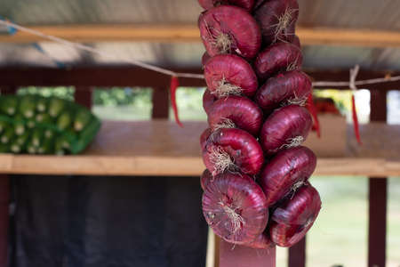 A bunch of red onions, a bulb of flat, round onions tied into a long braid. Autumn harvest of vegetables and garden roots. Agrarian background wallpaper backdrop copy spaceの写真素材