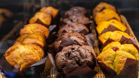 Golden muffins in a row, chocolate and vanilla flavors, homemade muffinsの写真素材