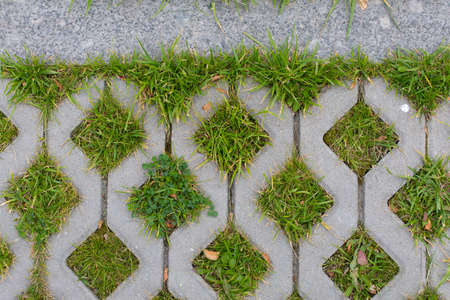 Cement grille of eco-friendly city parking lot with green grass, geometric decoration city streets texture background. Concrete road pavement texture with natural grass squares horizontal photographyの写真素材