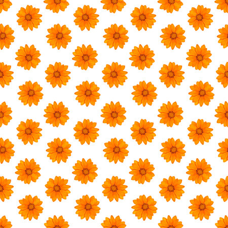 Gazania flower blossom, seamless pattern with natural flower yellow orange color, decoration textile