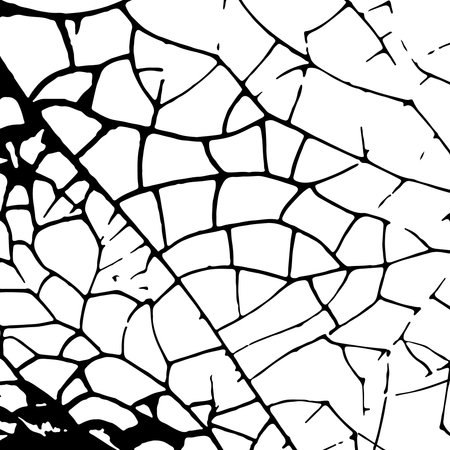 Vector texture black and white background for the design of a stylized flyer design scratch scuffed