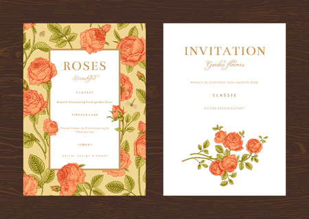 Floral vector vertical vintage invitation. Set. Coral Garden Roses.のイラスト素材