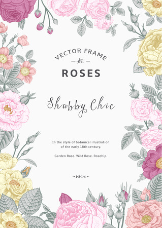 Vintage vector frame. Garden and wild roses. In the style of an old botanical illustration. Colorful. Vintage vector frame. Garden and wild roses. In the style of an old botanical illustration. Colorful.