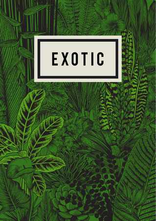 Vector card vintage. Exotic flowers and plants. Botanical classic illustration.のイラスト素材