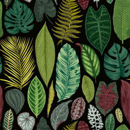 Vector seamless vintage floral pattern. Exotic leaves. Botanical classic illustration. Vividのイラスト素材