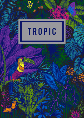 Vector card vintage. Exotic flowers, palm, bird, butterfly. Botanical classic illustration. Nightのイラスト素材