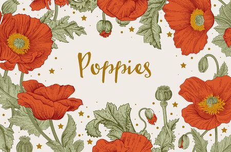 Vintage Card of Red Poppies.のイラスト素材