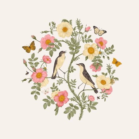 Birds and butterflies are in wild roses. Round Vector vintage classic floral composition. のイラスト素材